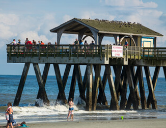 Unmissable Sights on  Fortybee Island: Your  Ultimate Guide